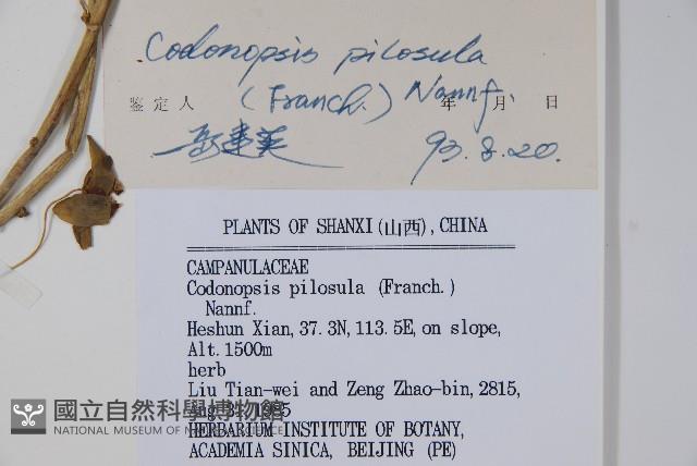 台參藏品圖，第2張