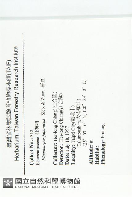 薯豆藏品圖，第2張