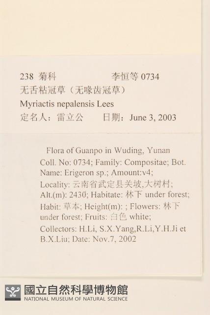 圓舌粘冠草藏品圖，第2張