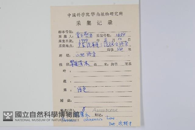 假鷹爪藏品圖，第2張