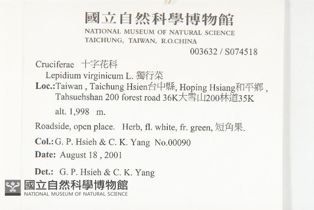 獨行菜藏品圖，第2張