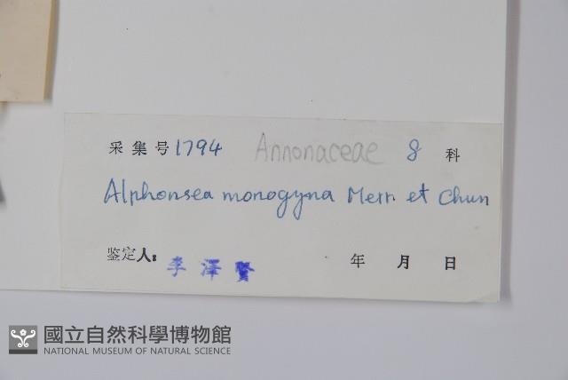 藤春藏品圖，第2張