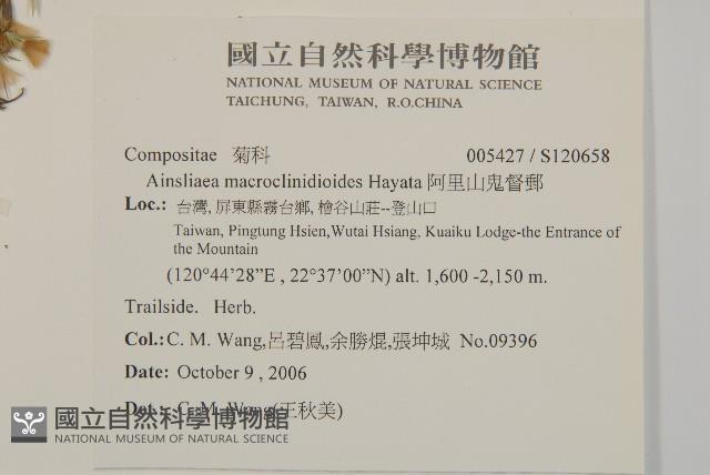 阿里山鬼督郵藏品圖，第2張