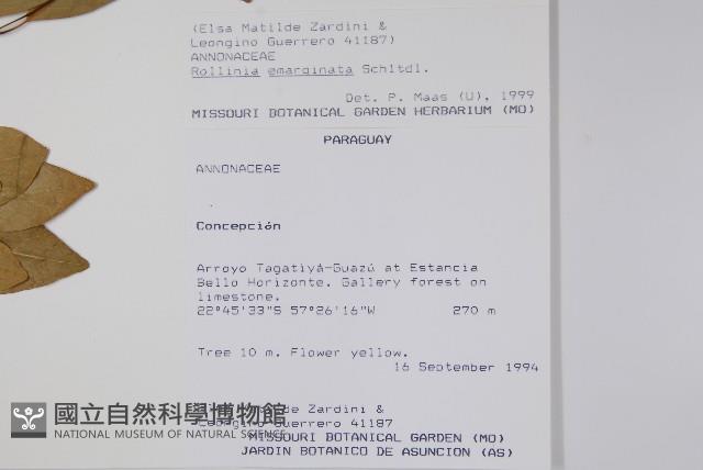 登錄號:S080658藏品圖，第2張