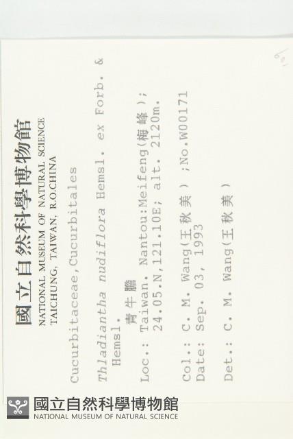 青牛膽藏品圖，第2張