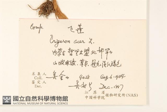 飛蓬藏品圖，第2張