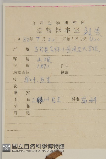 紫菀藏品圖，第2張