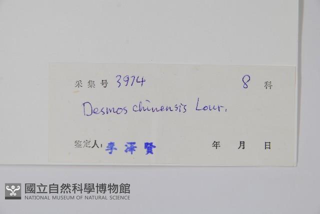 假鷹爪藏品圖，第2張