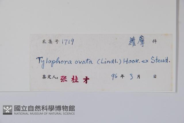 鷗蔓藏品圖，第2張