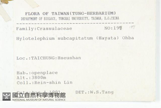 穗花八寶藏品圖，第2張