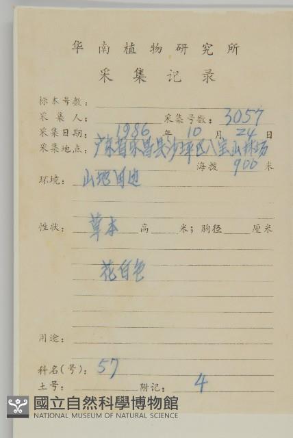 牛繁縷藏品圖，第2張