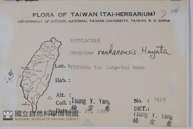 蘭邯千金榆藏品圖，第2張