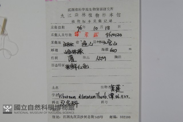 莢迷藏品圖，第2張