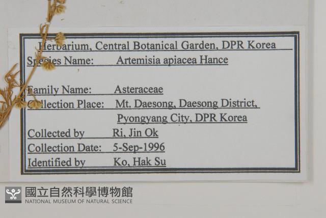 青蒿藏品圖，第2張