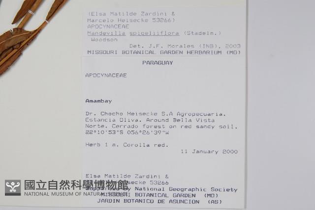 登錄號:S101058藏品圖，第2張