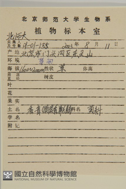 零零香藏品圖，第2張