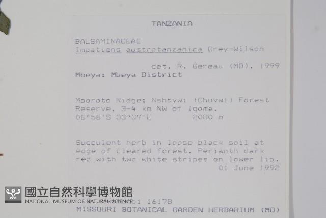 登錄號:S094058藏品圖，第2張