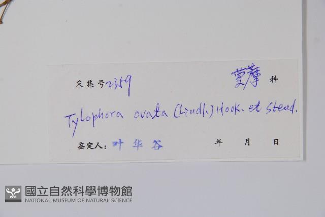 鷗蔓藏品圖，第2張