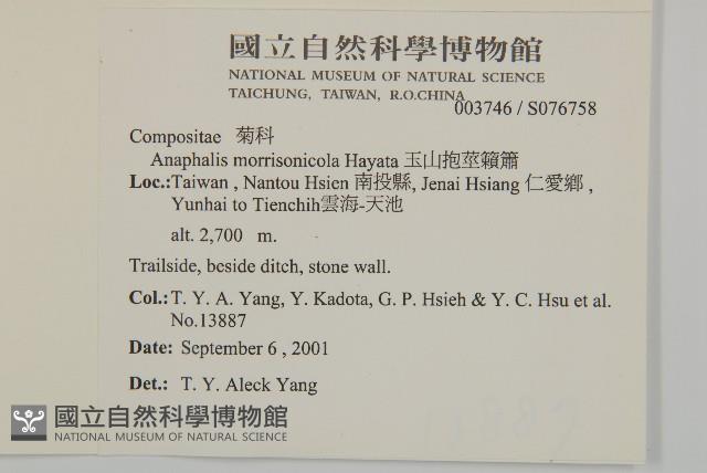 Accession Number:S076758 Collection Image, Figure 2, Total 2 Figures