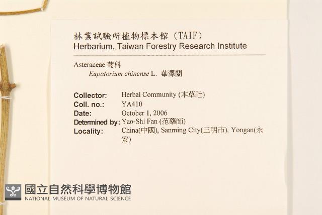 華澤蘭藏品圖，第2張