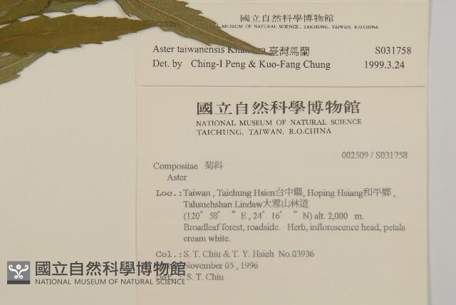 臺灣馬蘭藏品圖，第2張