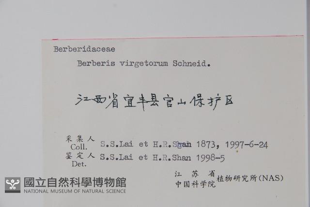 廬山小檗藏品圖，第2張