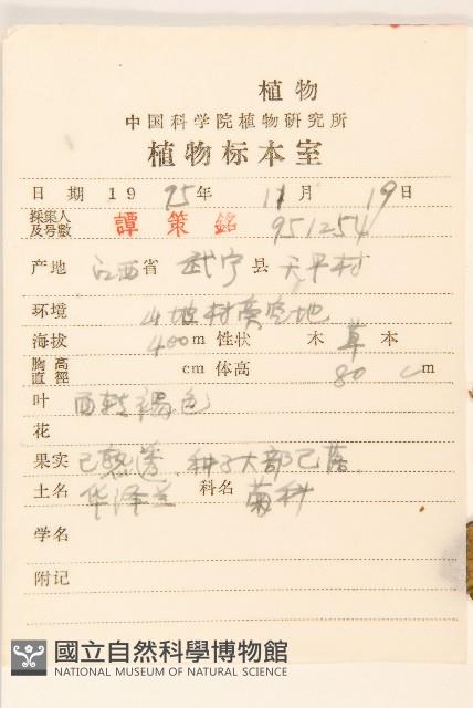 華澤蘭藏品圖，第2張