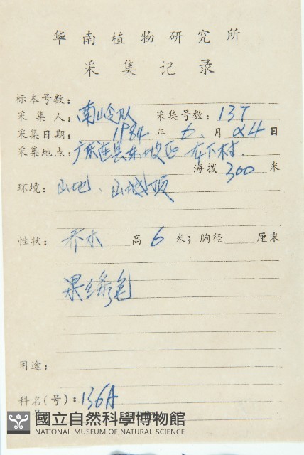 俄氏虎皮楠、蘭嶼虎皮楠、虎皮楠藏品圖，第2張