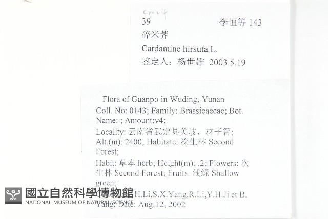 碎米薺藏品圖，第2張