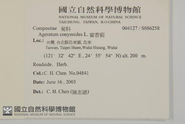 霍香薊藏品圖，第2張