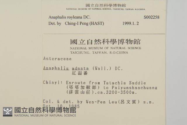 能高籟簫藏品圖，第2張