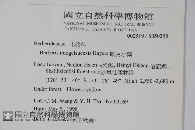 高山小蘗藏品圖，第2張