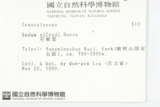 石板菜藏品圖，第2張