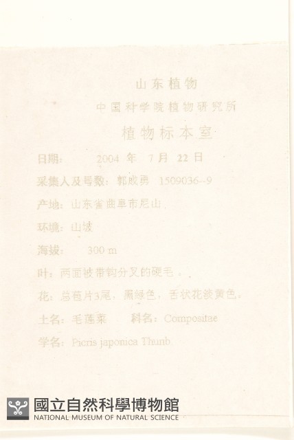 毛蓮菜藏品圖，第2張