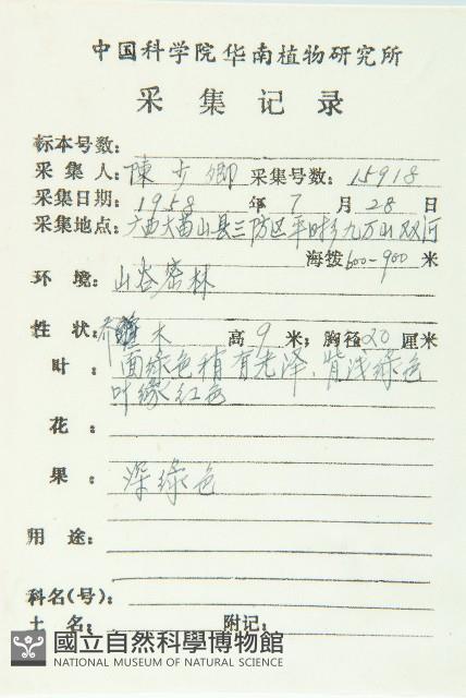 薯豆藏品圖，第2張