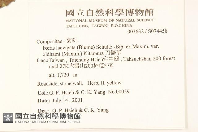 刀傷草藏品圖，第2張