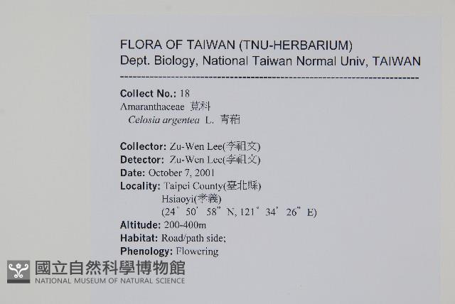 青葙藏品圖，第2張