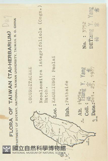 穿山龍藏品圖，第2張