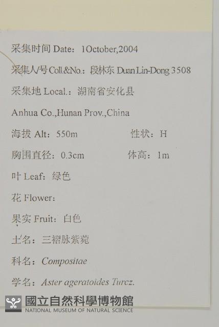 山白蘭藏品圖，第2張