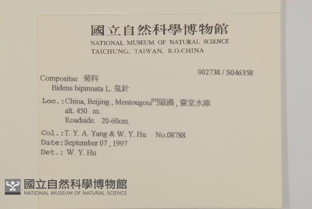 烏面馬、白花藤藏品圖，第2張