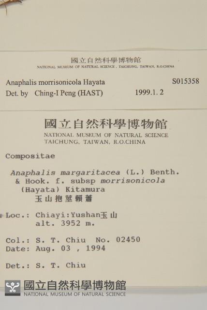 玉山抱莖籟簫藏品圖，第2張