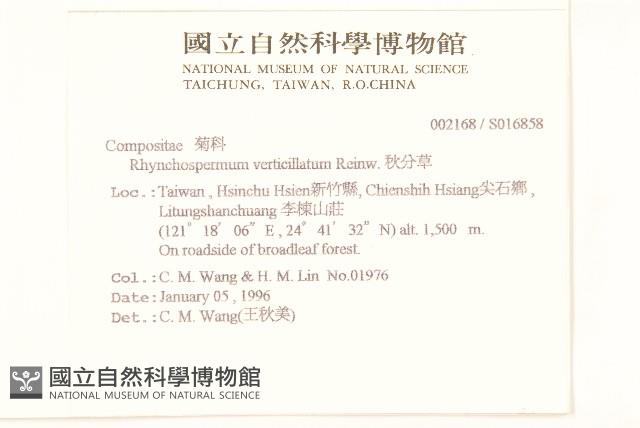 秋分草藏品圖，第2張