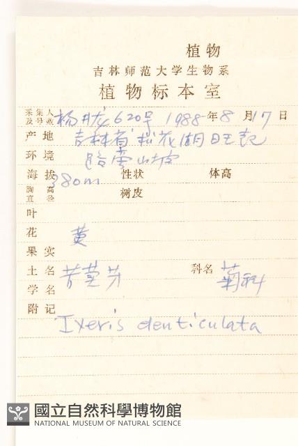 苦實菜藏品圖，第2張