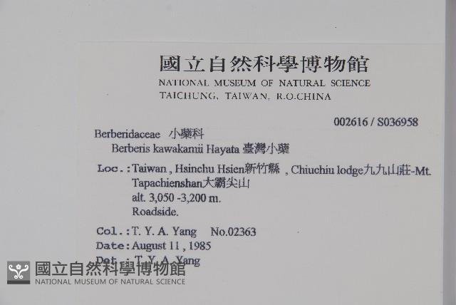 登錄號:S036958藏品圖，第2張