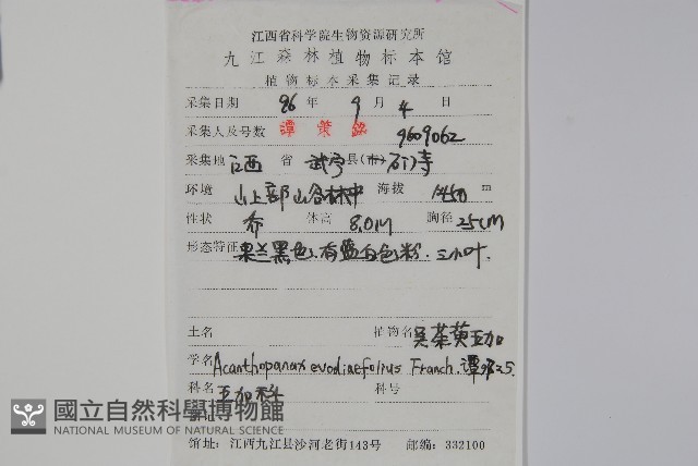 吳茱萸五加藏品圖，第2張