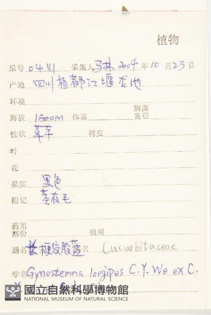 長葉絞股藍藏品圖，第2張