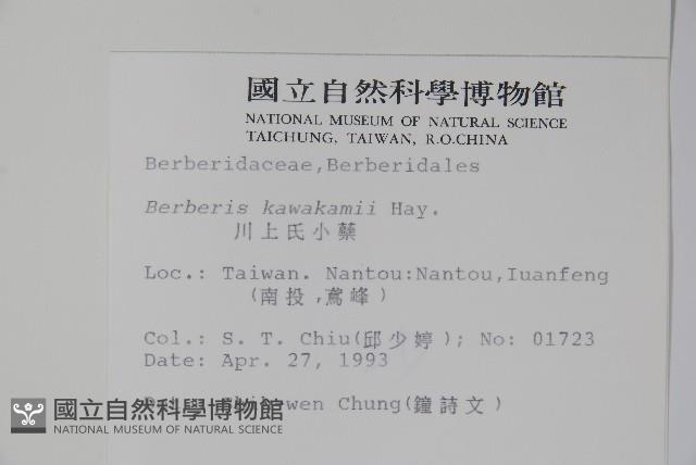 臺灣小蘗藏品圖，第2張