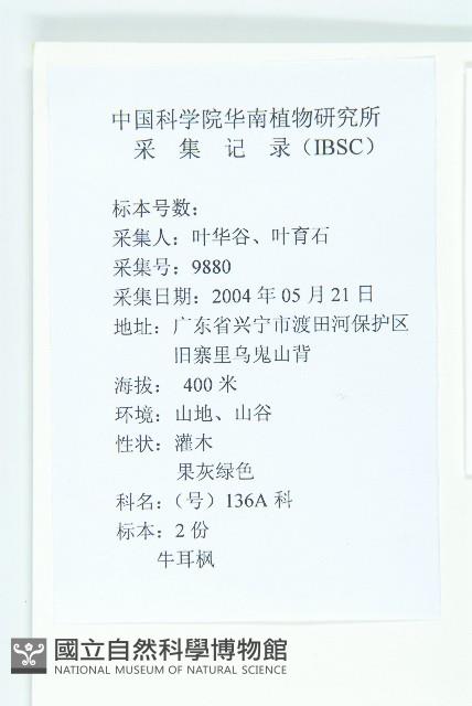 牛耳楓藏品圖，第2張