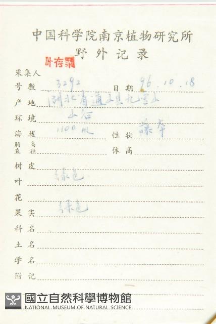 馬銅鈴藏品圖，第2張