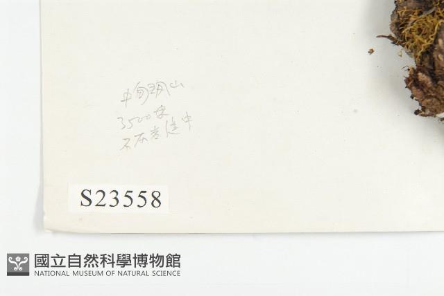 登錄號:S023558藏品圖，第2張